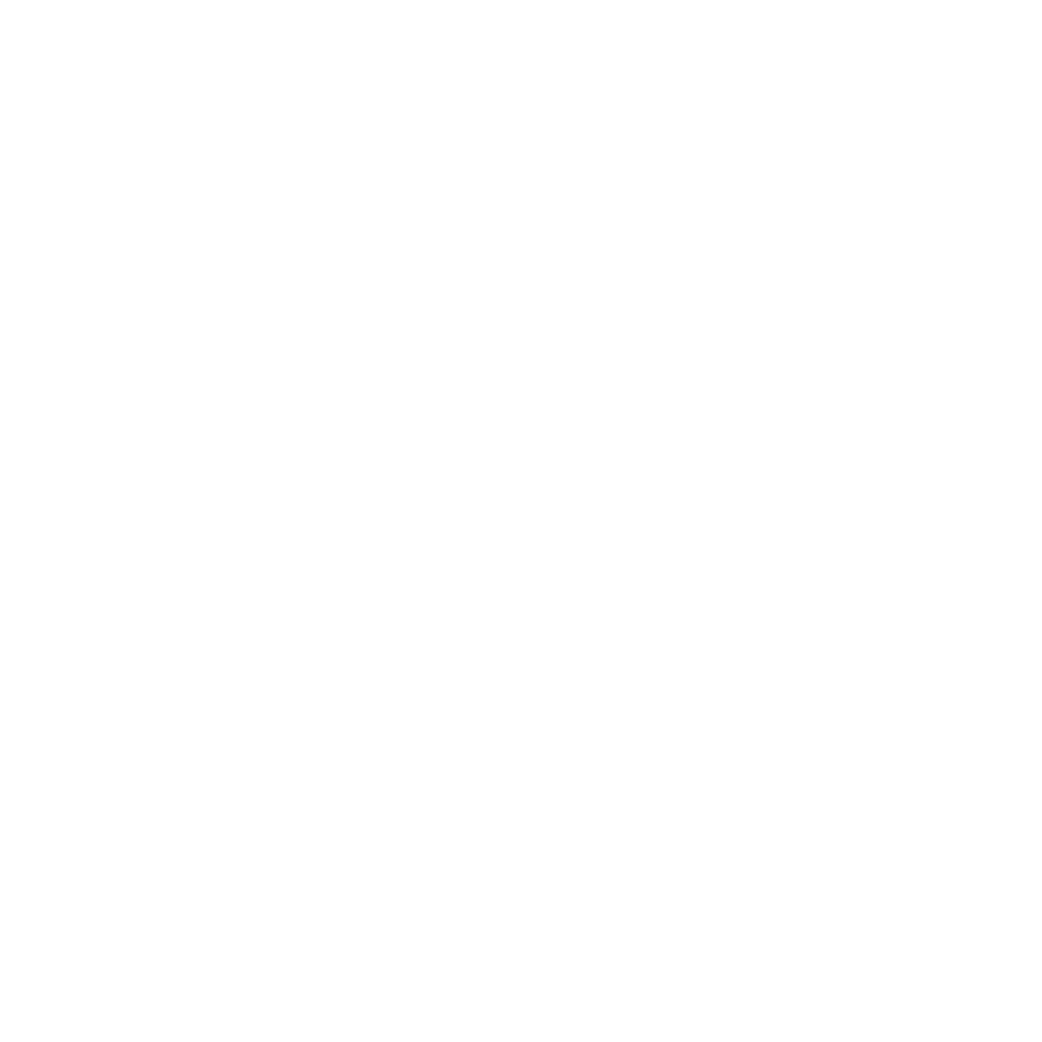 Logo Nillspring
