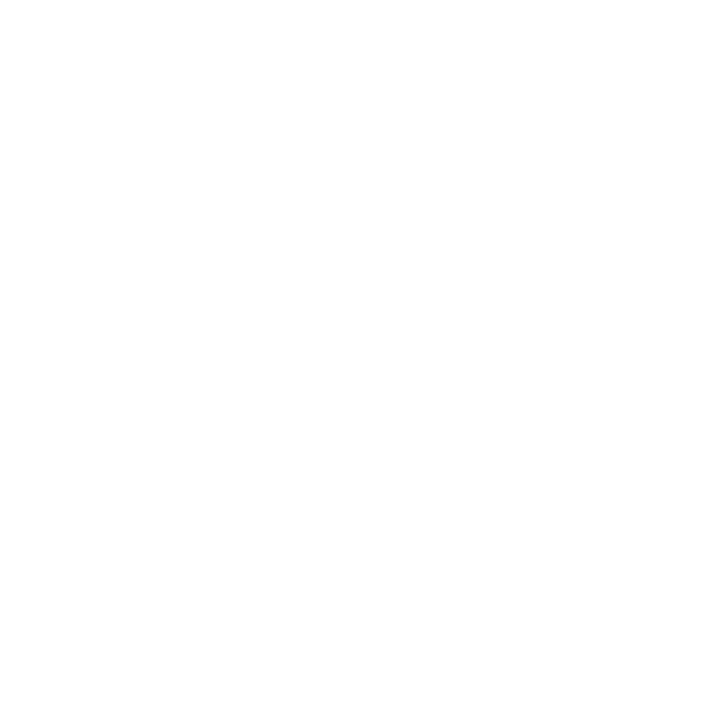 Logo Swissflex