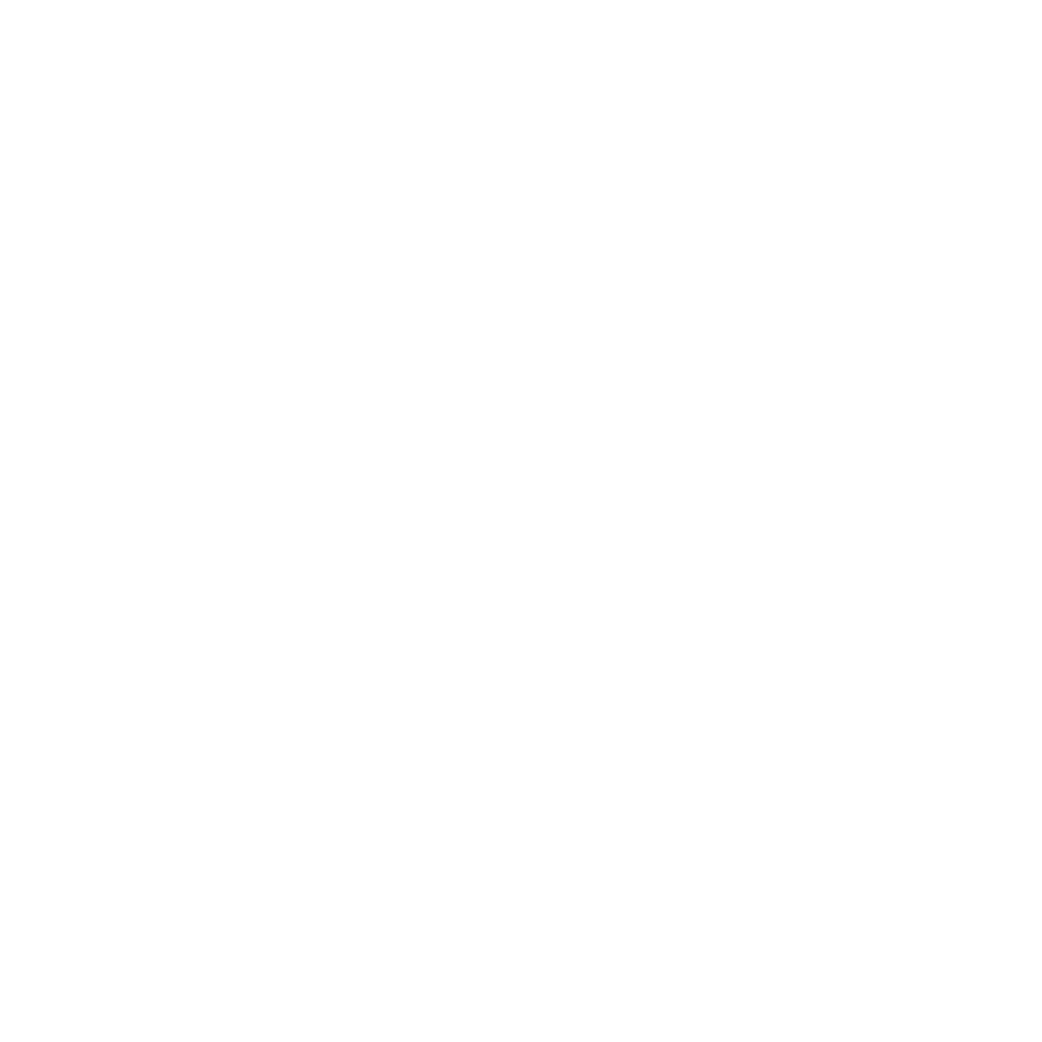 Logo Viking